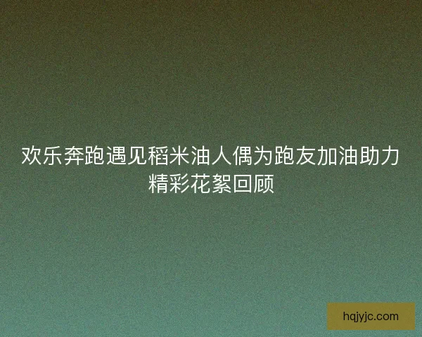 欢乐奔跑遇见稻米油人偶为跑友加油助力精彩花絮回顾